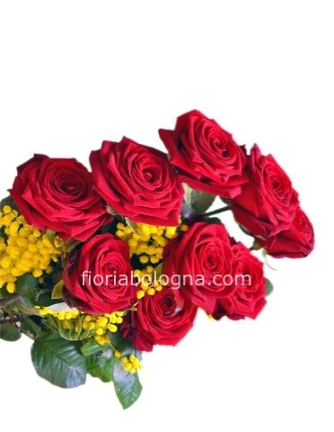 Rose rosse con mimosa