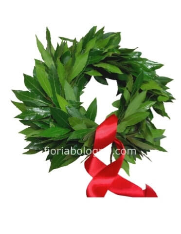 Coroncina di alloro economica